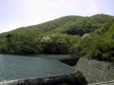 dam02.jpg