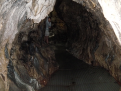 IMGA0032.jpg