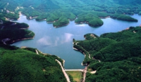 P1.jpg